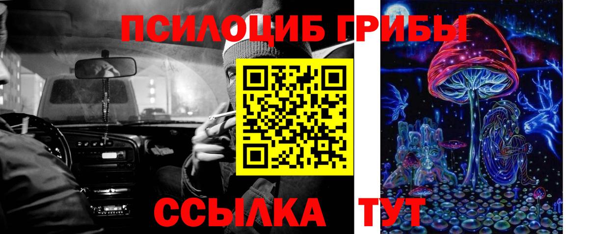 Псилоцибиновые грибы Cubensis Алатырь