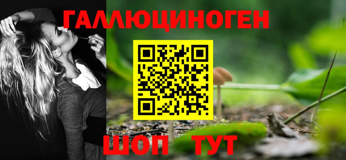 Алатырь  Галлюциногенные грибы Psilocybe  Вход с VPN 
